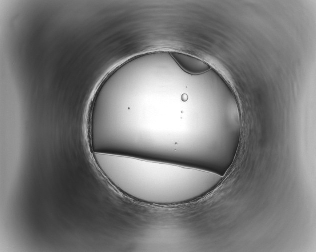 X0000093751104200710160805