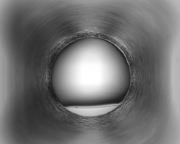 X0000093751110200710160804