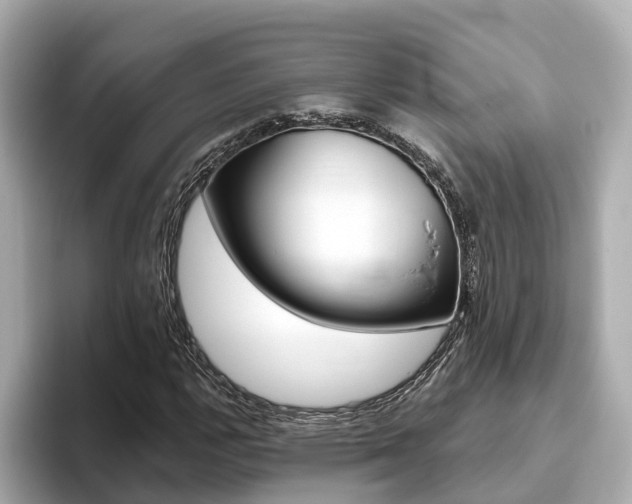 X0000093751112200710160804