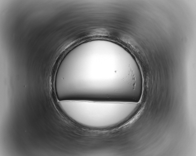 X0000093751113200710160804