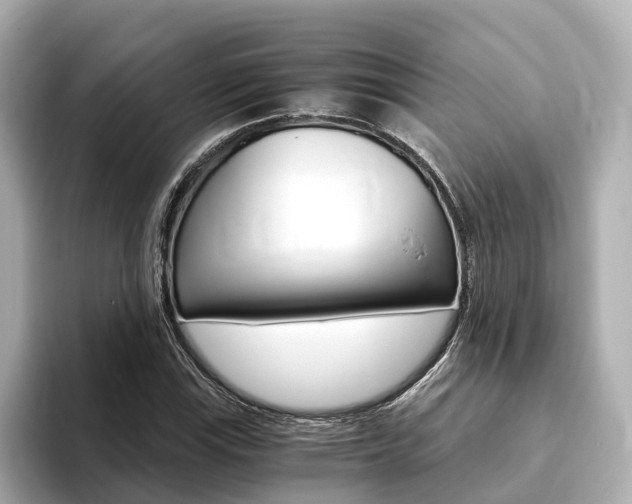 X0000093751115200710160804