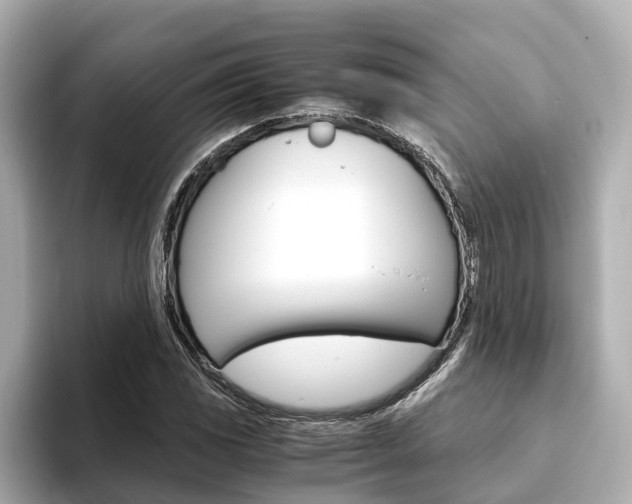 X0000093751117200710160804