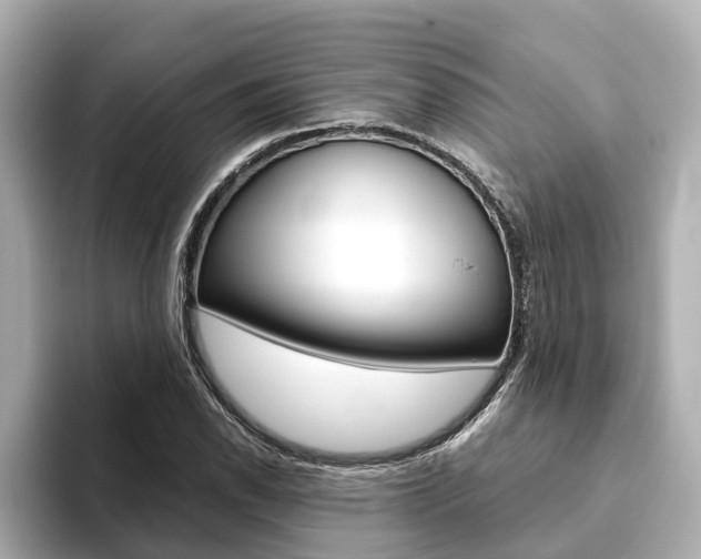 X0000093751118200710160804