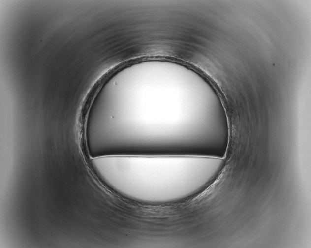 X0000093751119200710160805