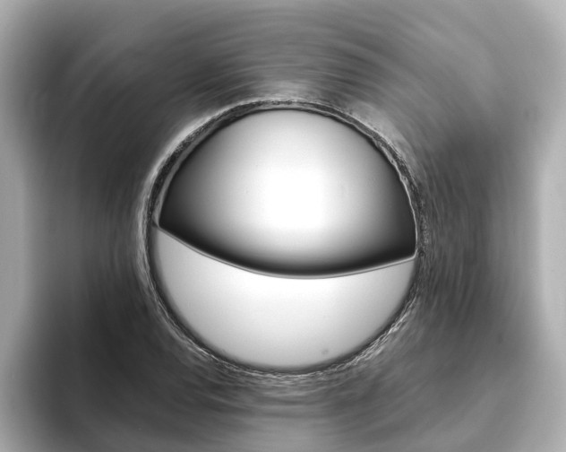 X0000093751120200710160805