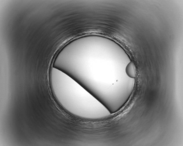 X0000093751121200710160805