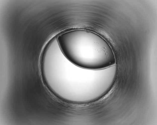 X0000093751122200710160805