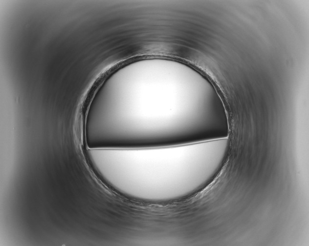 X0000093751123200710160805
