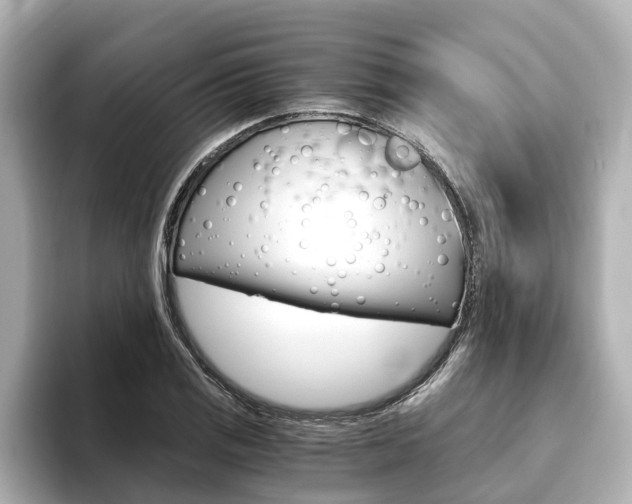 X0000093751125200710160805