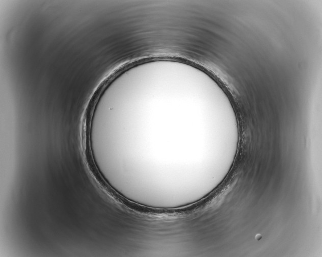 X0000093751126200710160805