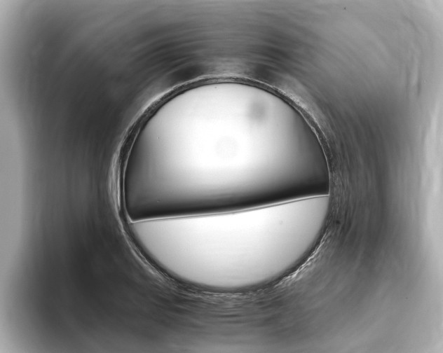 X0000093751127200710160805