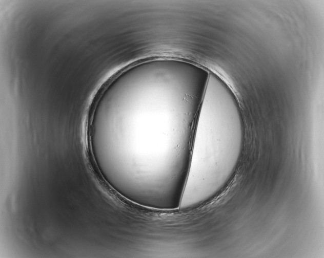X0000093751128200710160805