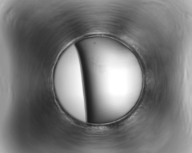 X0000093751129200710160805
