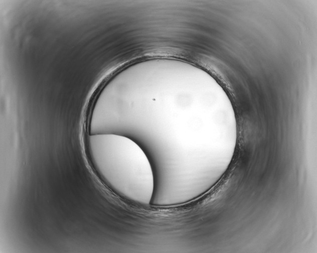 X0000093751130200710160805