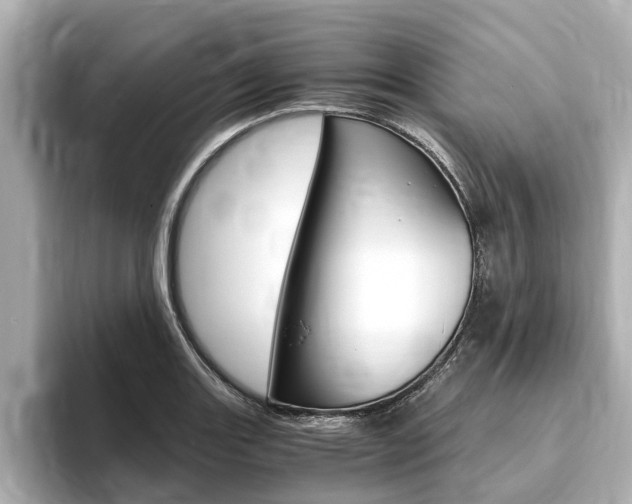 X0000093751131200710160805