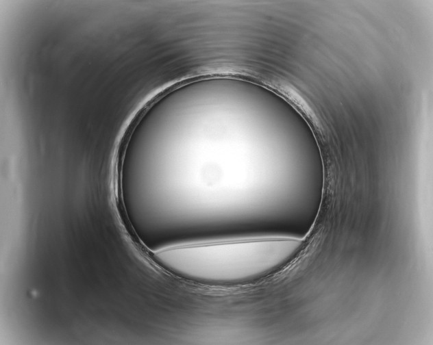 X0000093751132200710160805