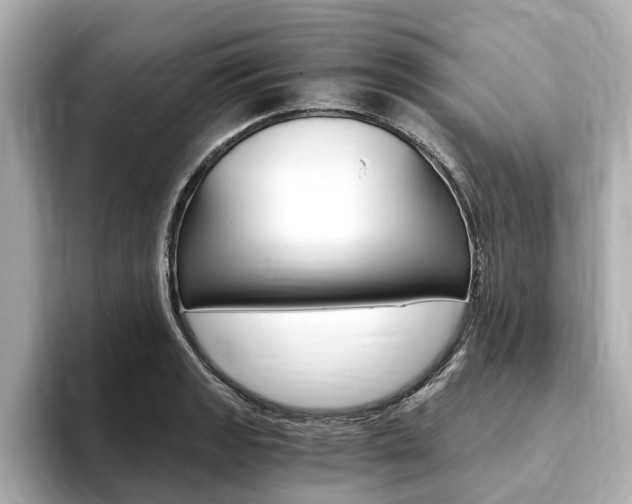 X0000093751133200710160805