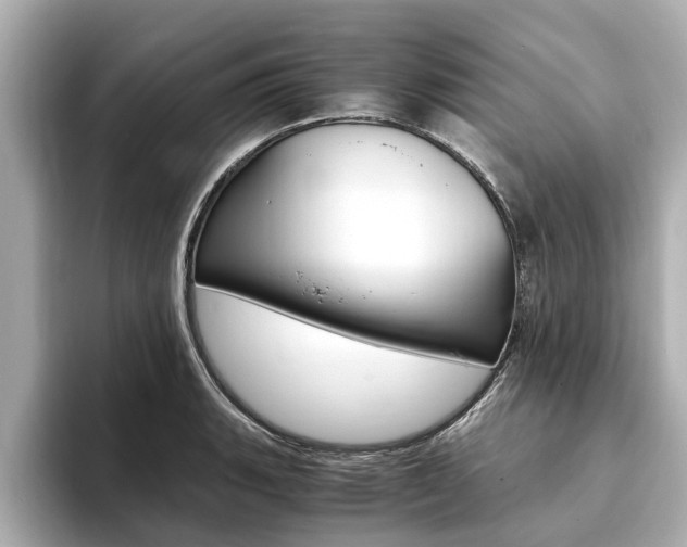 X0000093751135200710160805