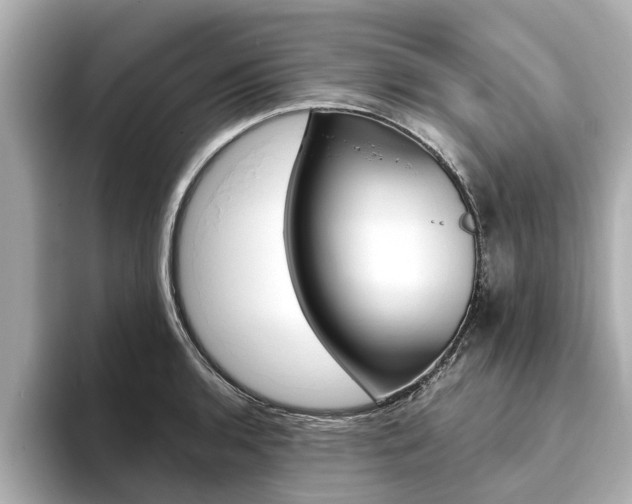 X0000093751136200710160805