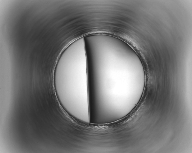 X0000093751137200710160805