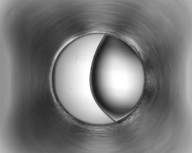 X0000093751138200710160805