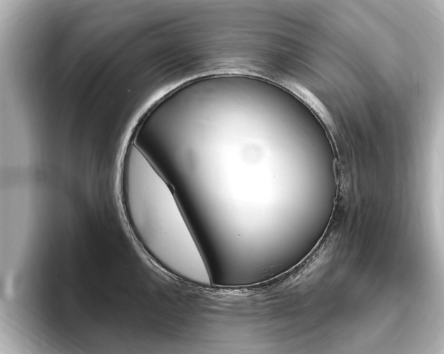 X0000093751144200710160805