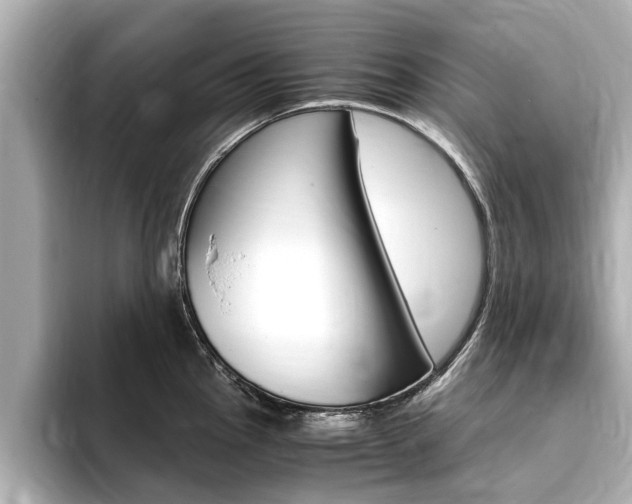 X0000093751145200710160805