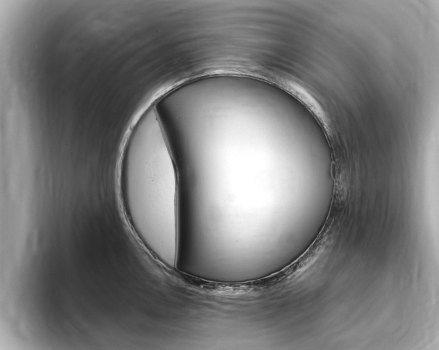 X0000093751146200710160805
