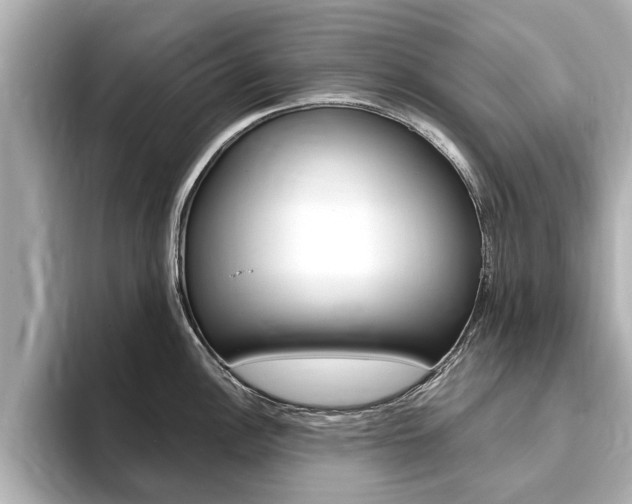 X0000093751148200710160805