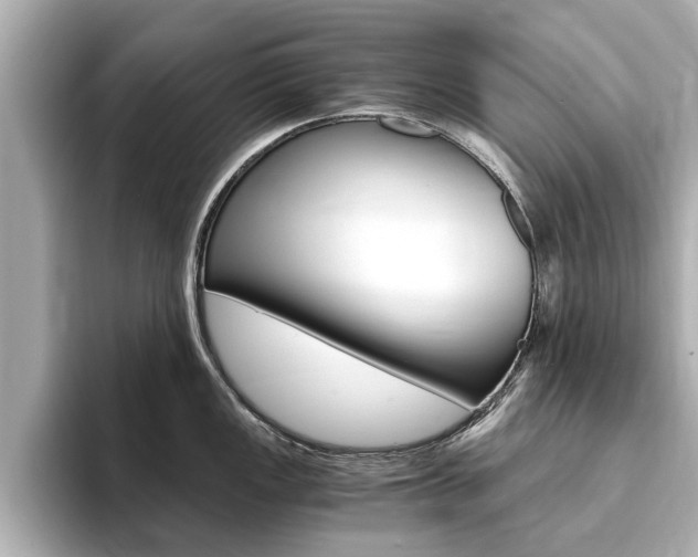 X0000093751149200710160805