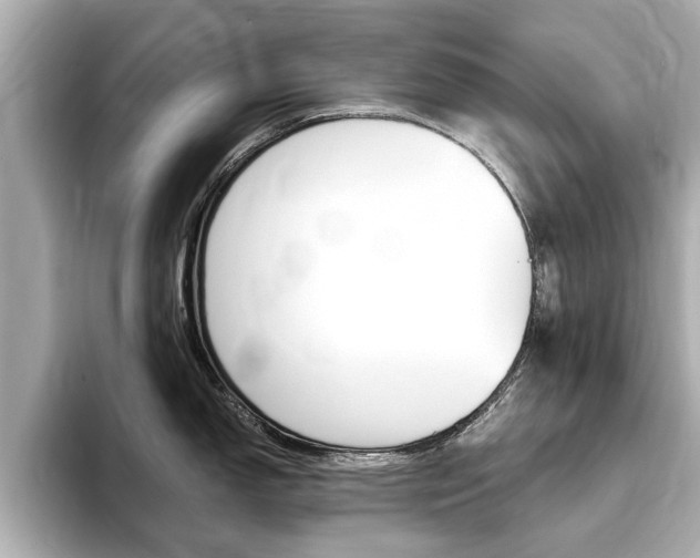 X0000093751150200710160805