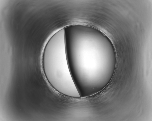 X0000093751152200710160805