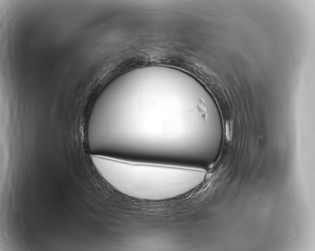 X0000093751155200710160804