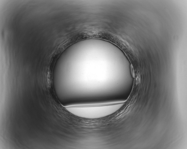 X0000093751156200710160804