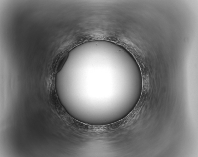 X0000093751157200710160804