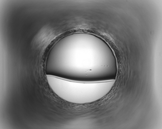 X0000093751159200710160804