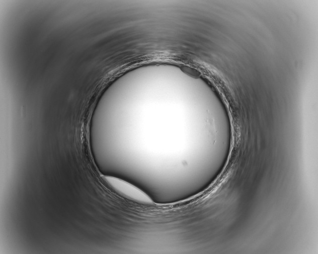X0000093751161200710160804