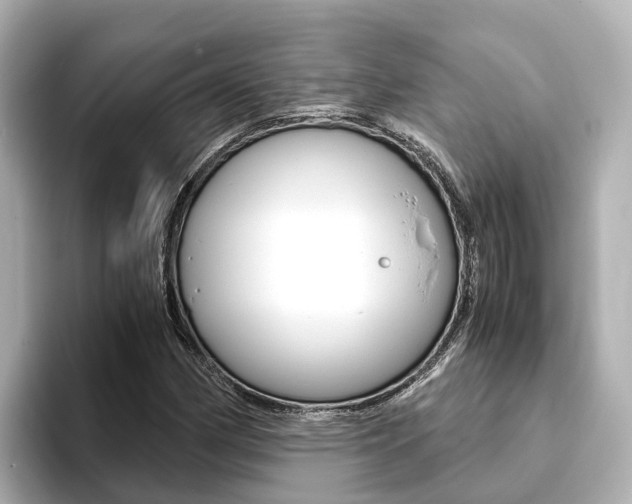 X0000093751162200710160804