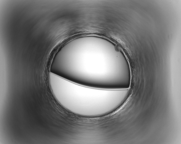 X0000093751163200710160804