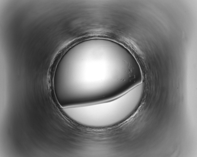 X0000093751164200710160804