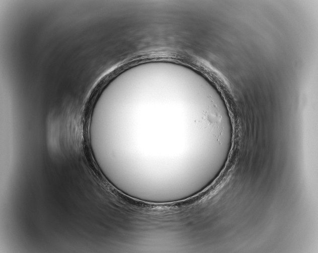 X0000093751166200710160804