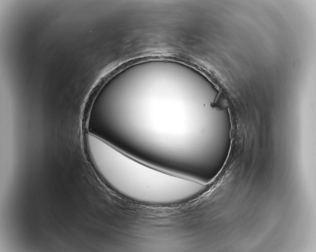 X0000093751168200710160804