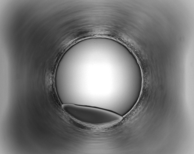X0000093751169200710160804