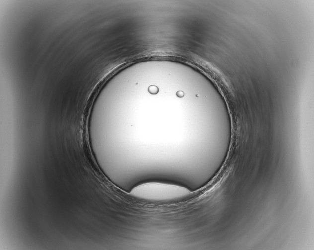 X0000093751170200710160804