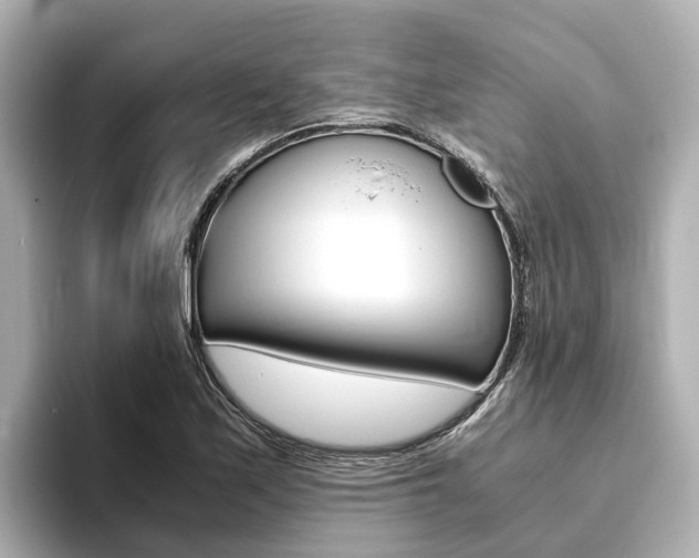 X0000093751171200710160804