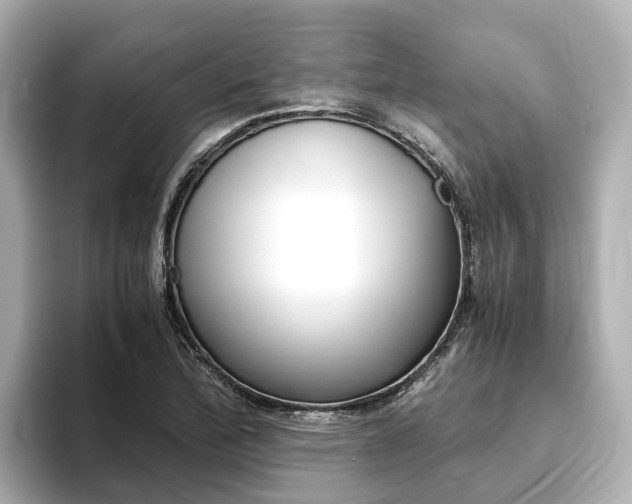 X0000093751172200710160804