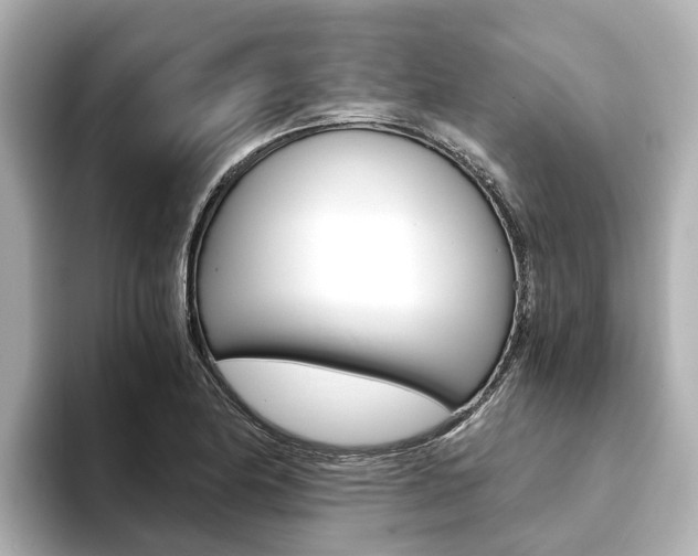 X0000093751174200710160804