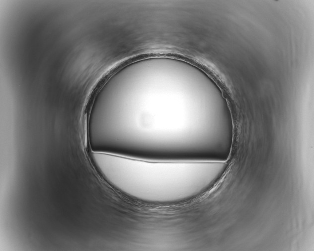 X0000093751175200710160804