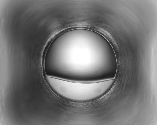 X0000093751176200710160804