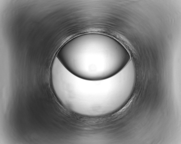 X0000093751177200710160804